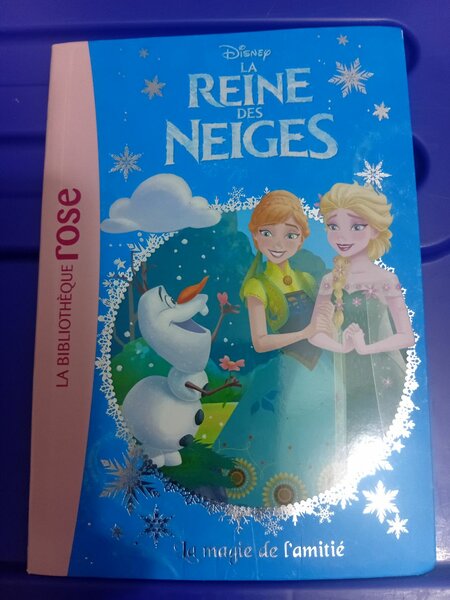 Livre Disney La Reine des Neiges