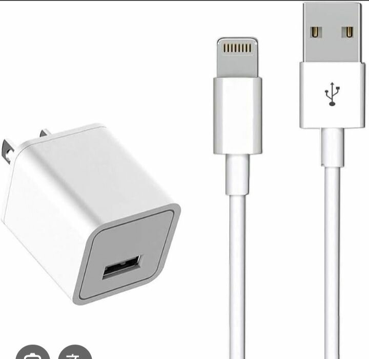 Original Iphone Charger