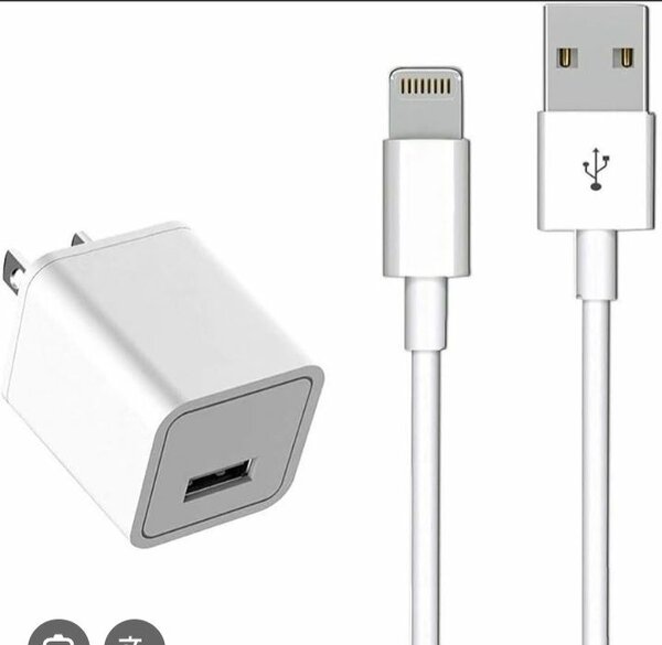 Original Iphone Charger