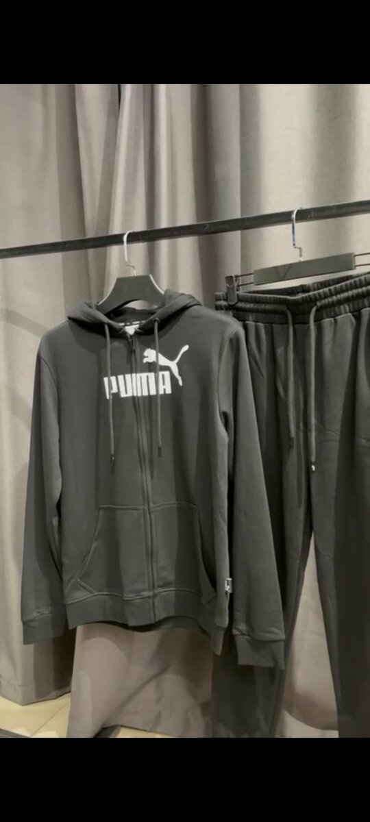 Puma