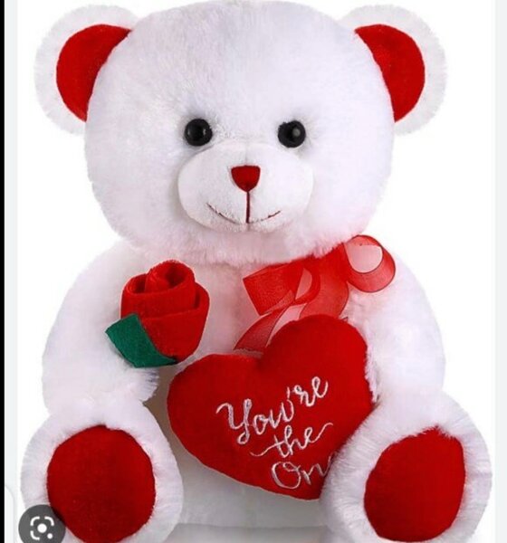 Ours en peluche amour