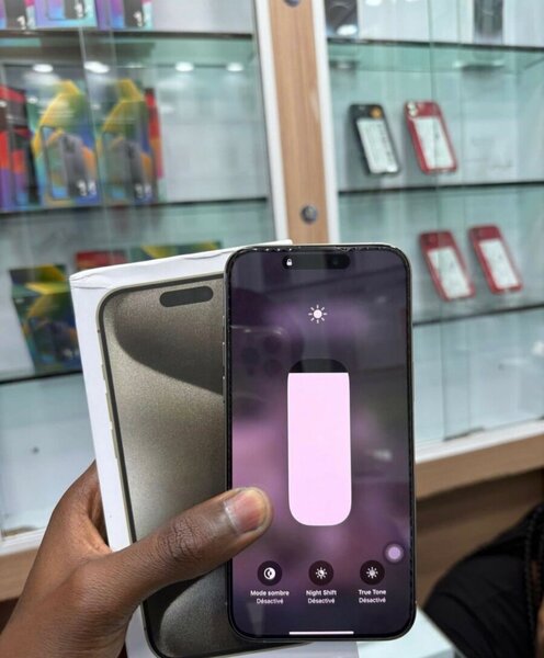 iPhone 15 Pro Max 256Go Argent