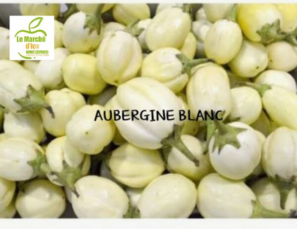 Aubergines Blanches Fraîches