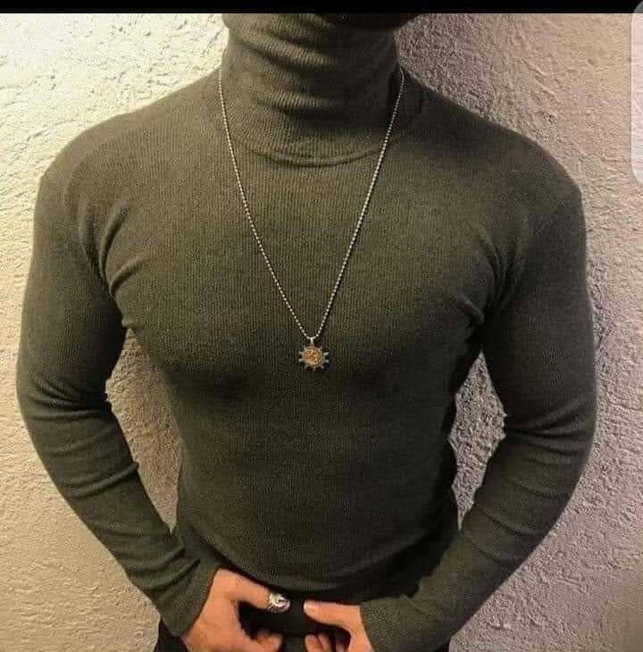 Pulls à col roulé élégants