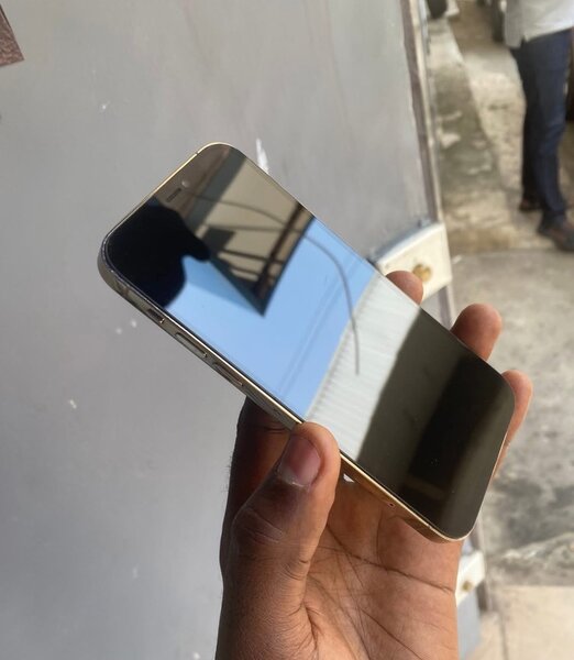 iPhone 12 Pro Max Argent