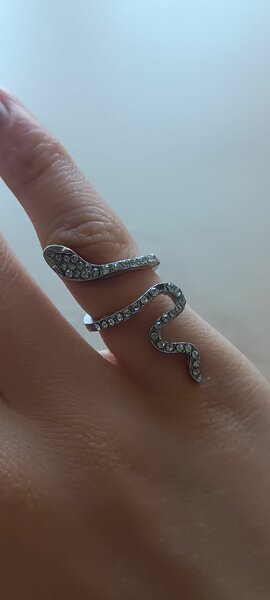 Кольцо змея