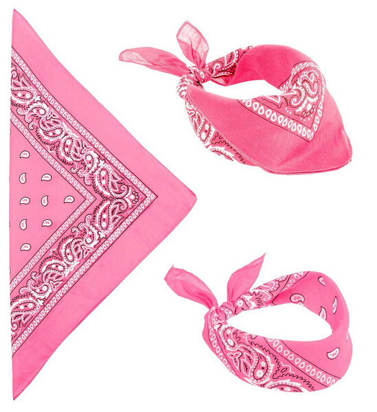 Bandana rose paisley