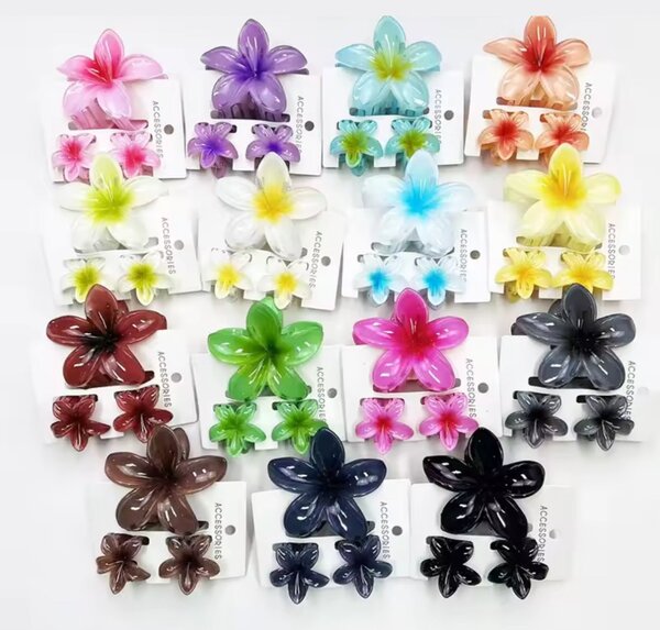 Pinces pour les cheveux