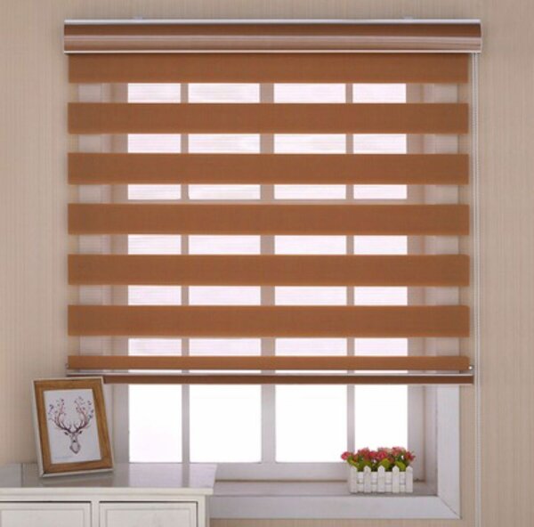 Blind Curtains