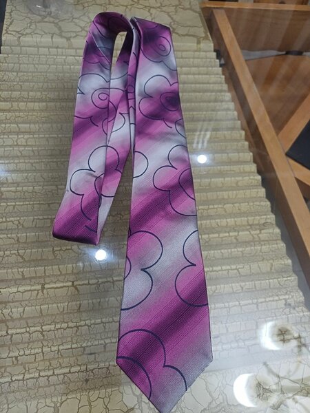 Cravates élégantes pour hommes