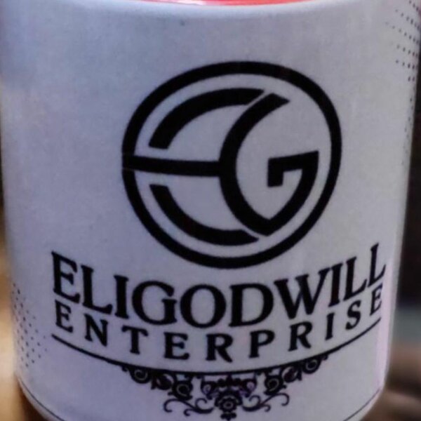 ELGODWILL ENTERPRISE 