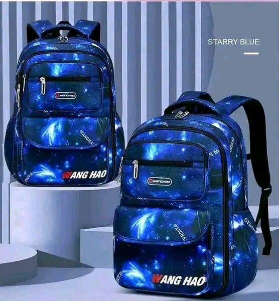 Sacs au dos