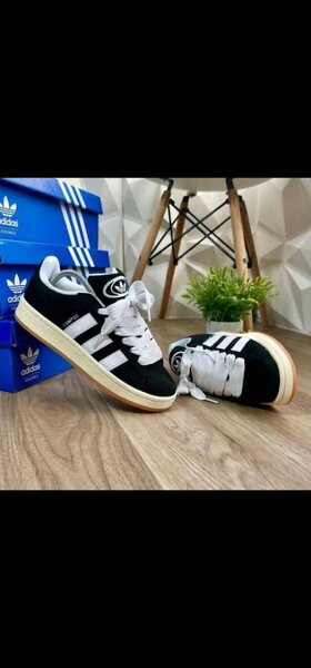 Adidas campus original
