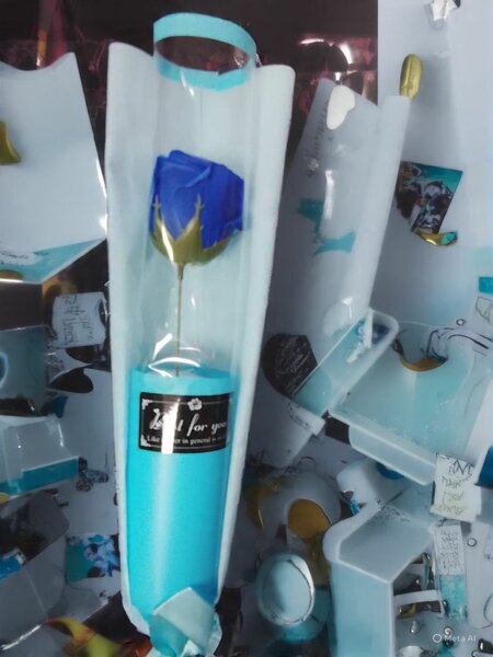 Rose éternelle bleue élégante