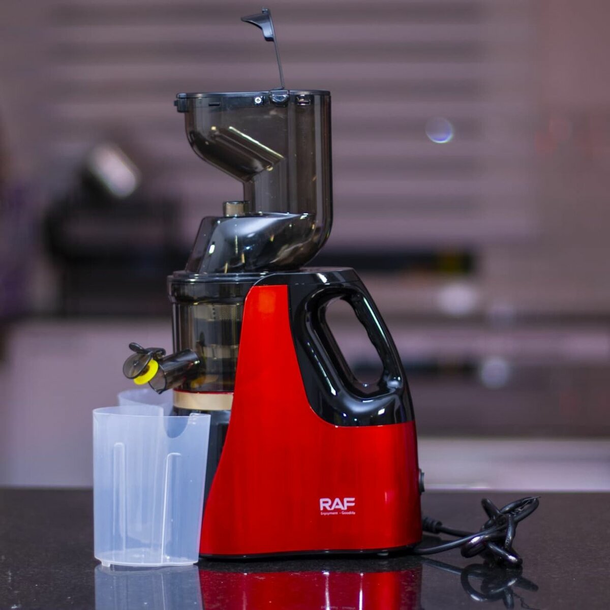 Extracteur de Jus Lent RAF