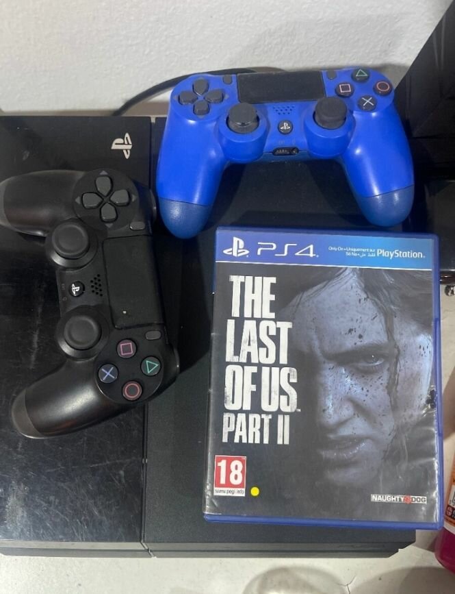 PLAY STATION PS4 500g