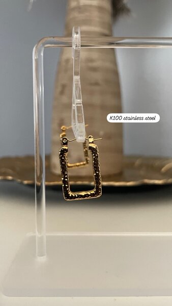 Stainless steel earrings