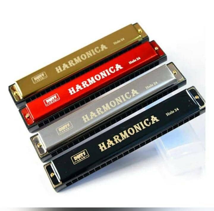 Harmonica diatonique 24 trous