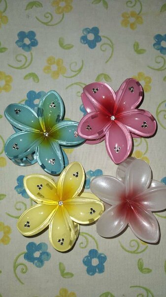 Pinces à cheveux fleurs colorées