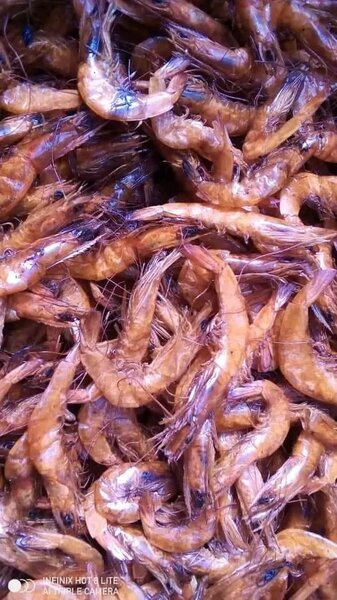 Crevettes séchées savoureuses