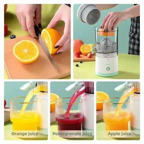Fruit Juicer