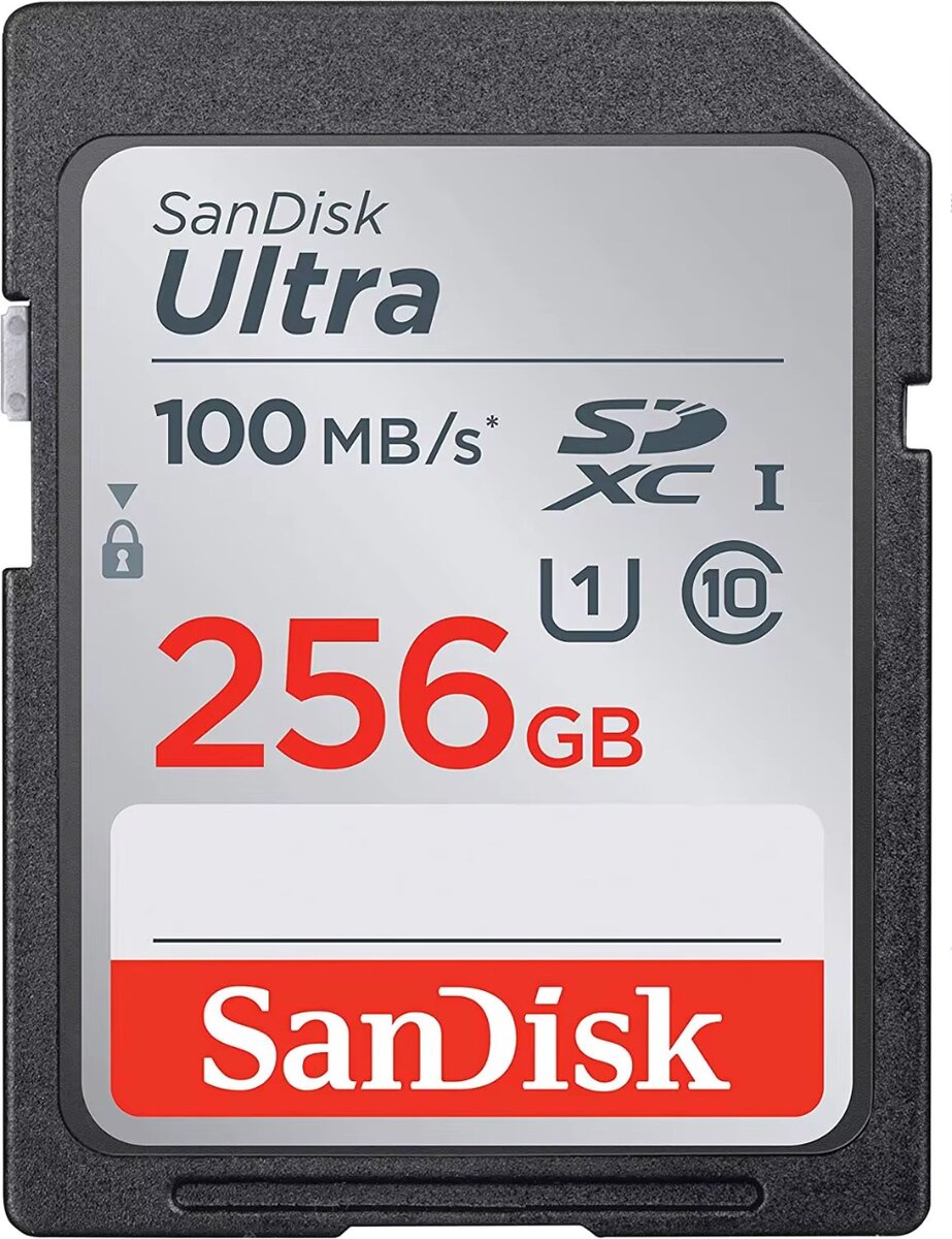 Carte mémoire SanDisk Ultra 256GB