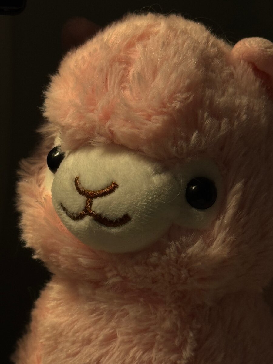 лама розовая