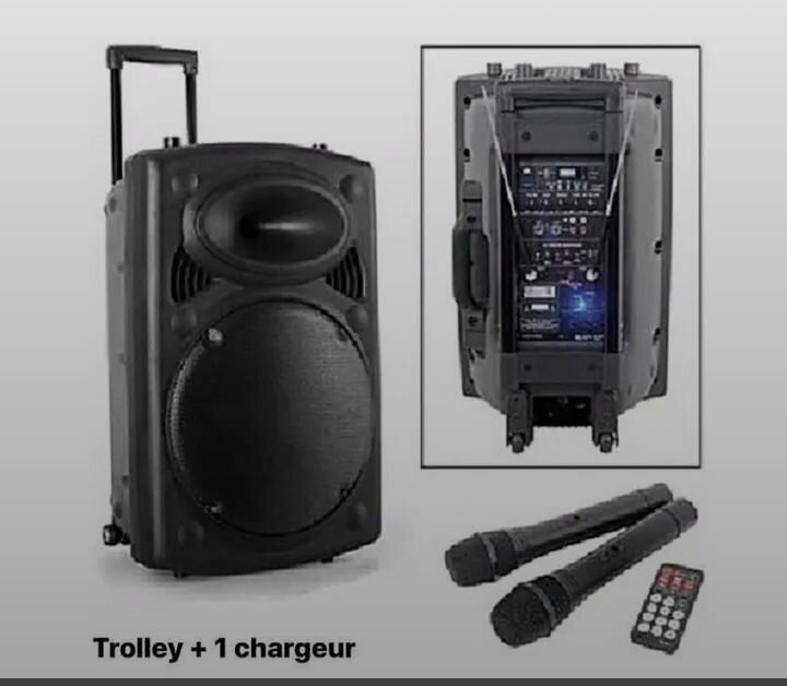 Enceinte portable Karaoké