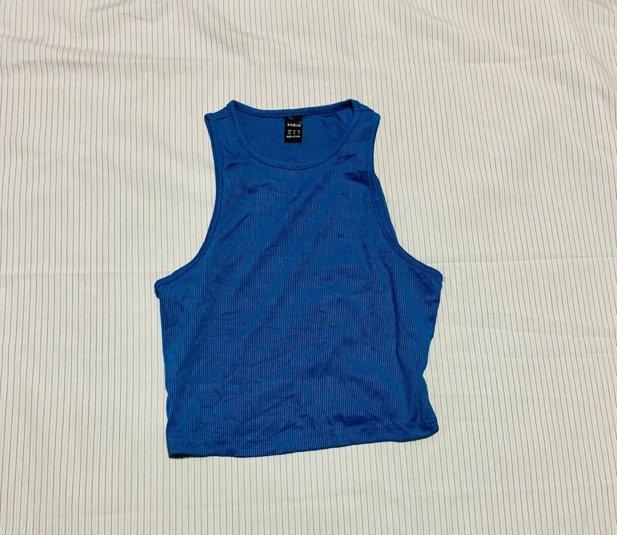 Blue Sleeveless Crop Top
