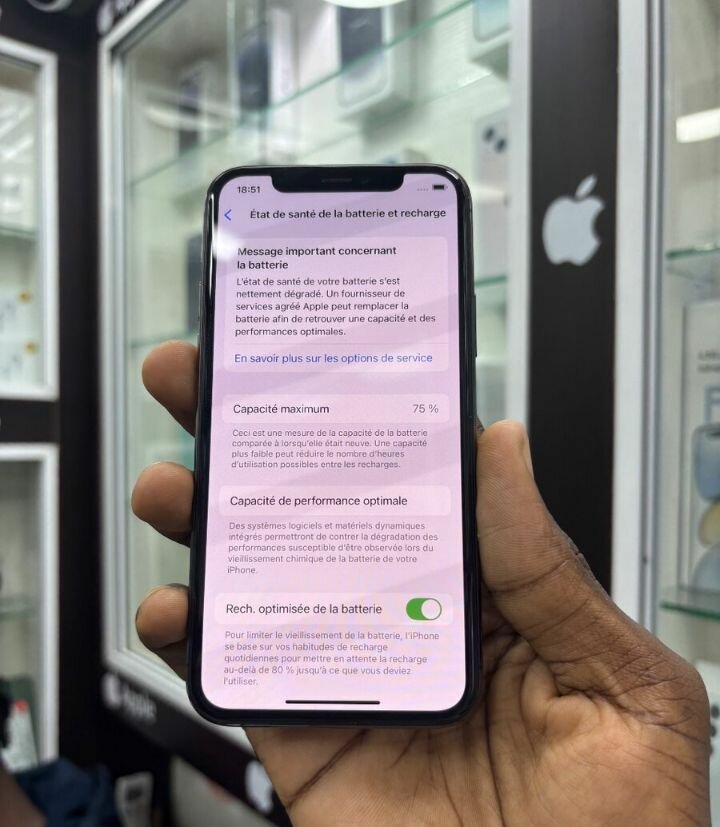 iPhone 12 Pro Max 256GB Gris