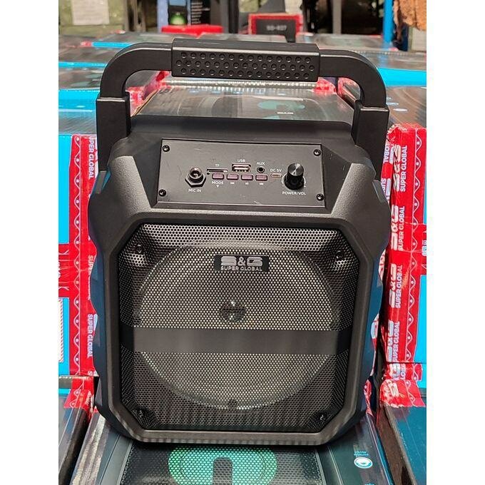 Enceinte Portable Puissante