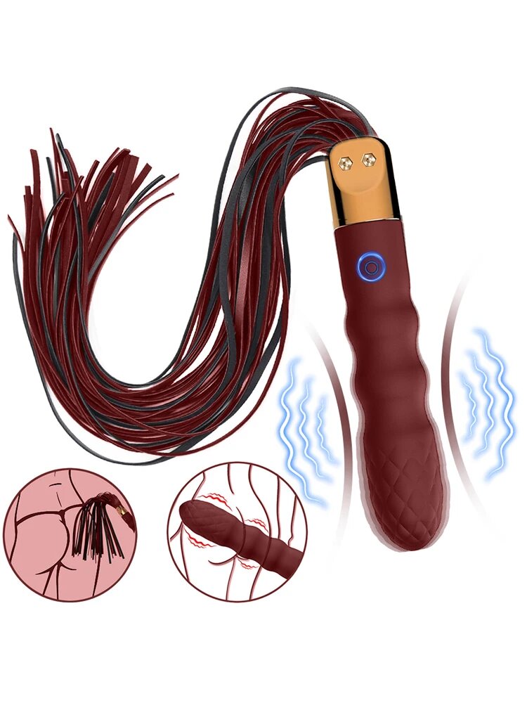 2in1 whip and 10 speeds vibrator