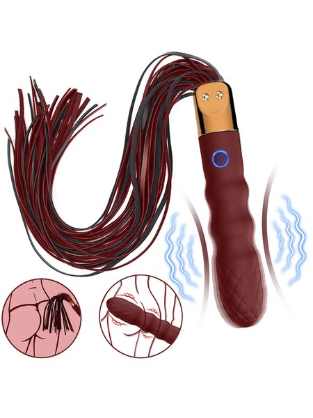 2in1 whip and 10 speeds vibrator