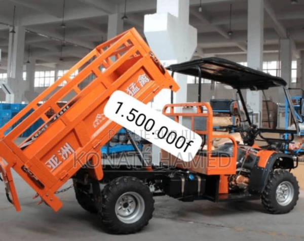 Tricycle de Transport