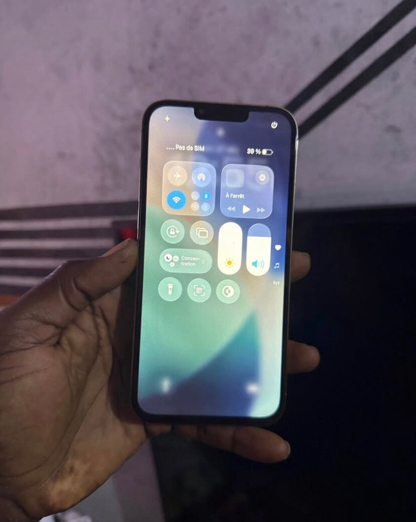 iPhone 13 Pro Max Argent