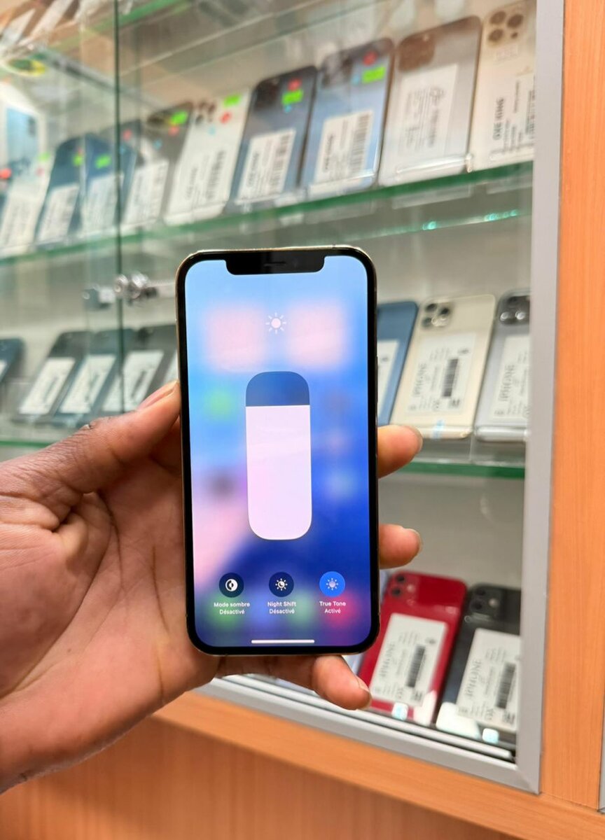 12 pro 128Go tout passe