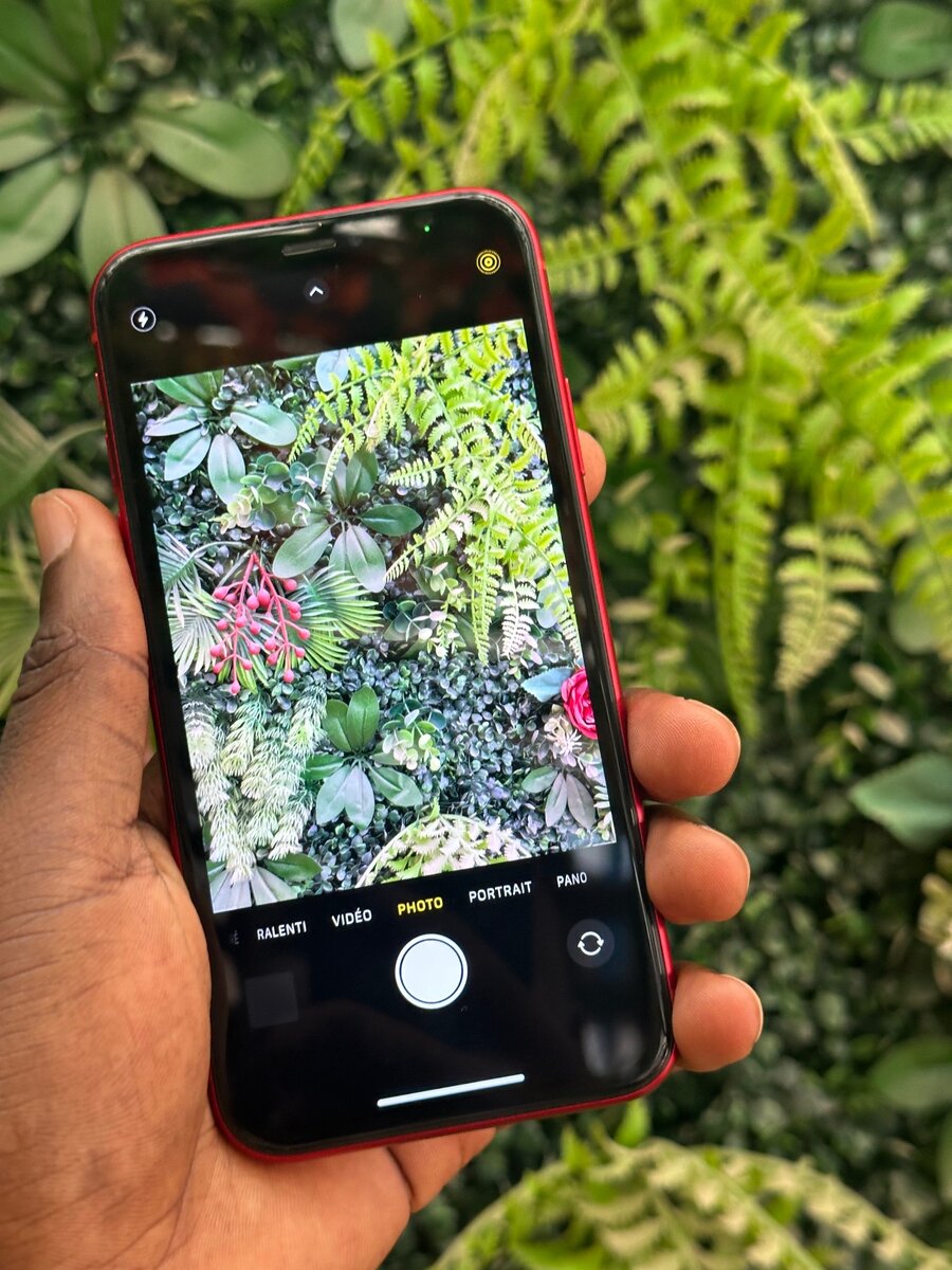 iPhone XR second main propre deux puces