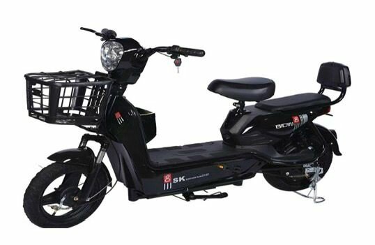 Electric bike with pedal
