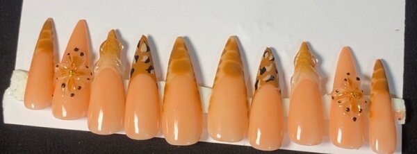 Faux ongles élégants léopard