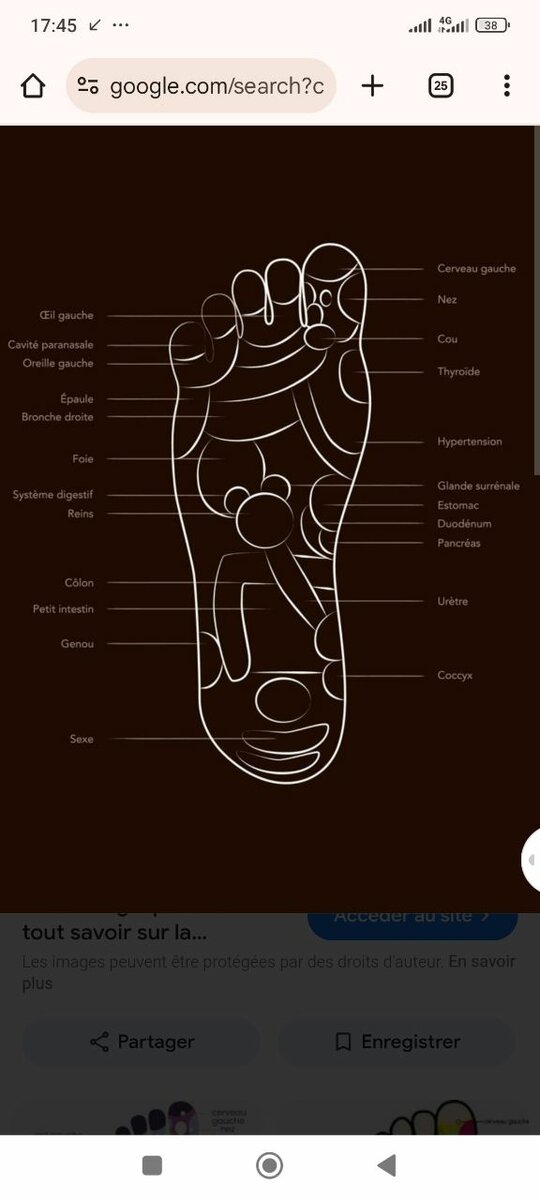 Disque pour stimuler les nerfs