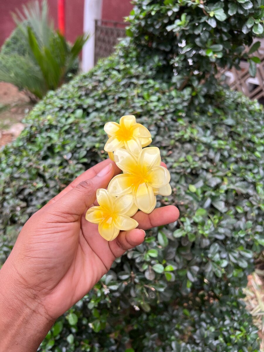 Épingles à cheveux fleuries