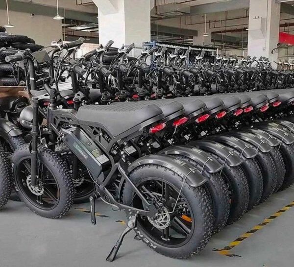 Vélo électrique tout-terrain