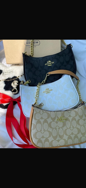 Sac à main Coach élégant