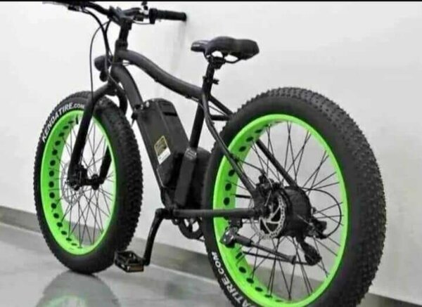 Vélo Électrique Fat Bike tout terrain
