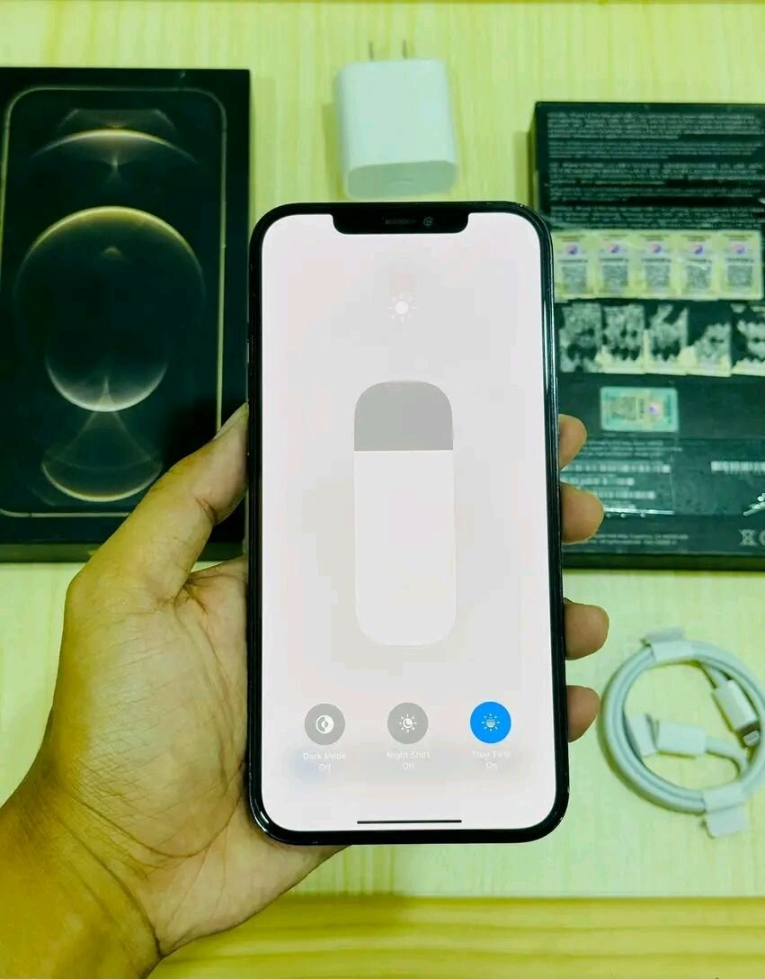 iPhone 12 Pro Max 256Go