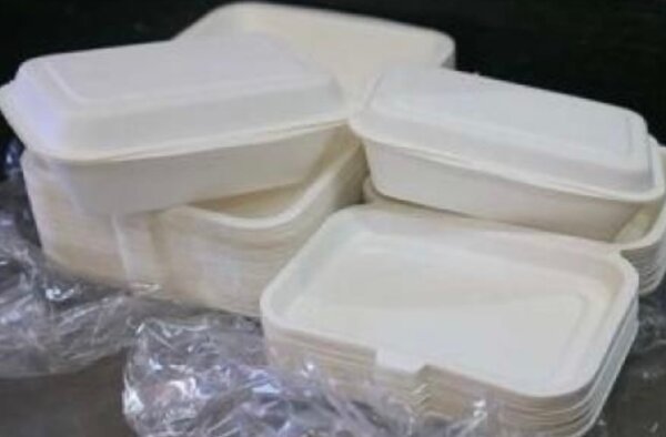 Boîtes alimentaires jetables