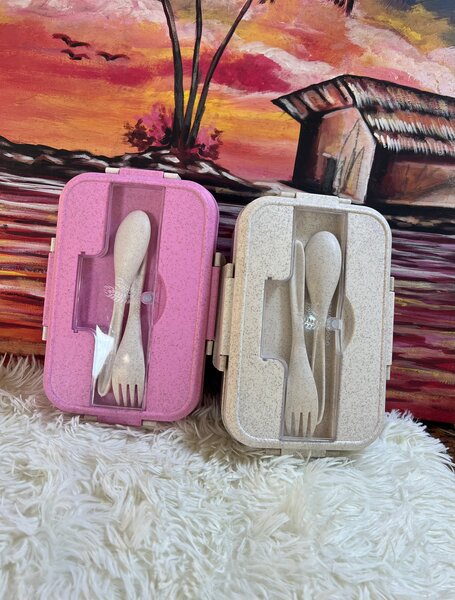 Boîte à déjeuner écologique