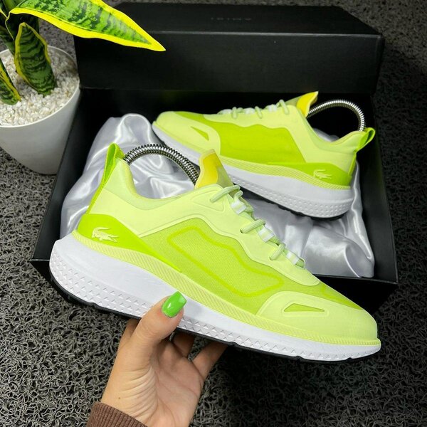 Lacoste Sneakers Homme