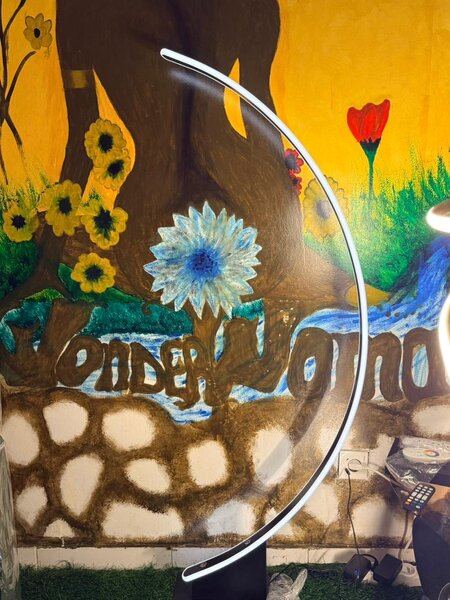 Lampe LED courbe élégante