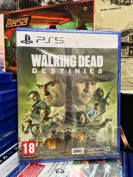 Cd PS5 Walking Dead